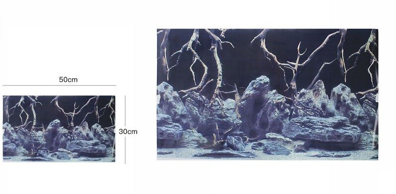 Poster Sfondo Per Acquario Terrario Panorama Decoro Misura 30x50cm dfh