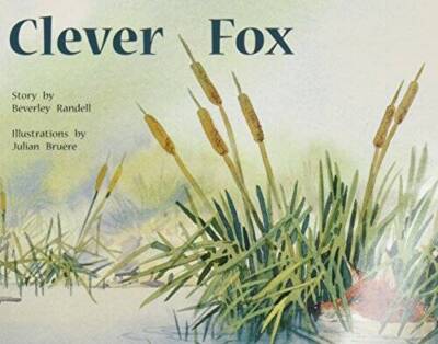 Rigby PM Plus: Individual Student Edition Yellow (Levels 6-8) Clever Fox - GOOD