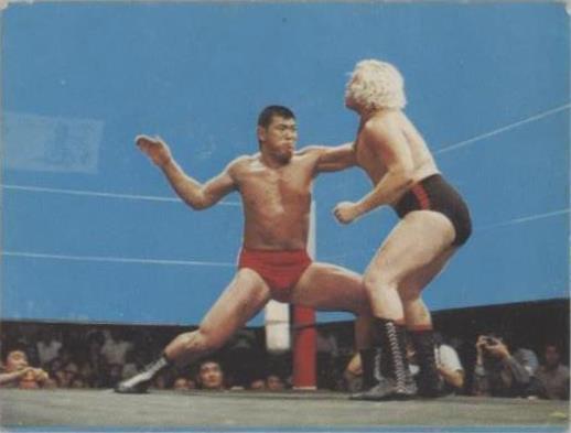 1974 Yamakatsu New Japan Pro Wrestling - Anaconda #20 for sale | eBay