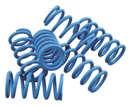 Ninja250 18-22 Beet Nassert Evolution Typeii Titanium Exhaust | eBay