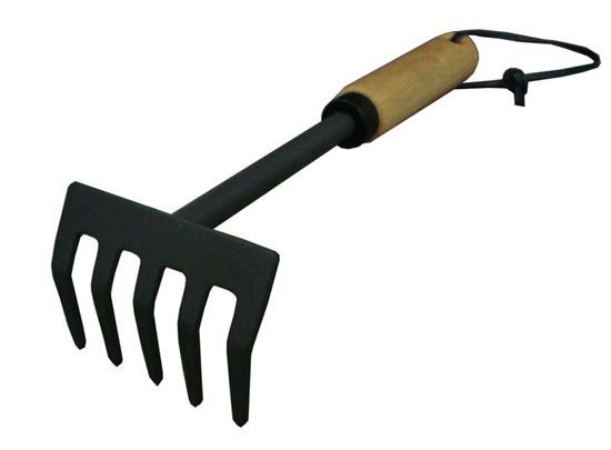 Rastrello A 5 Denti Attrezzo Giardinaggio Giardino Manico in Legno dfh