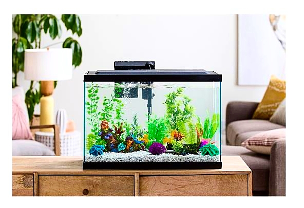 29 Gallon Aquarium Kit Set Fish Tank Led Light Hood Filter Fresh Clear Water New