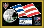 usasilvercollector2013