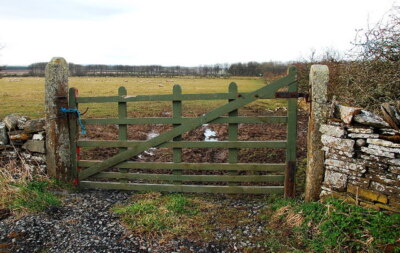 Photo 6x4 The green gate Sortat So much nicer than the ubiquitous metal t c2009