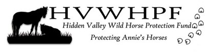 Hidden Valley Wild Horse Protection Fund