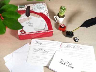 Calligraphy Set -All Occasion Set- Includes a Feather Quill and 2  Ink Pots.