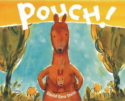 Pouch - Hardcover By Stein, David Ezra - VERY GOOD