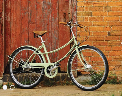 pashley penny
