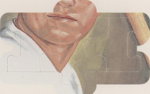 1990 Donruss - Carl Yastrzemski #31-33