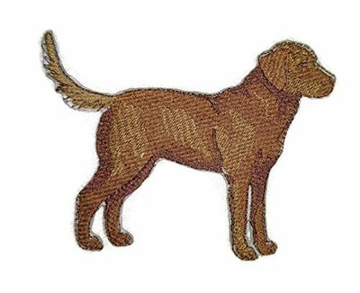 Custom Chesapeake Bay Retriever Embroidery Iron On/Sew patch [5'' x 3.9'']