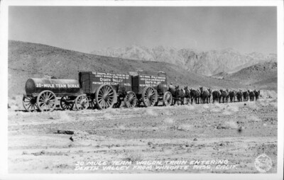 20 Mule Team Wagon Tain Entering Death Valley California OLD PHOTO