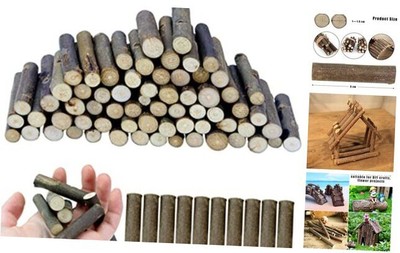 100 PCS Craft Sticks, 2 Inch Natural Birch Twigs Sticks, Mini Wood Log for DIY 