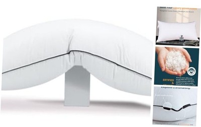 Hungarian Goose Down Pillow King Size, Ultimate Comfort 750+ King（Pack of 1）