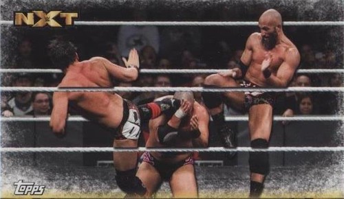 2017 Topps WWE Then Now Forever - #Diy #F-50