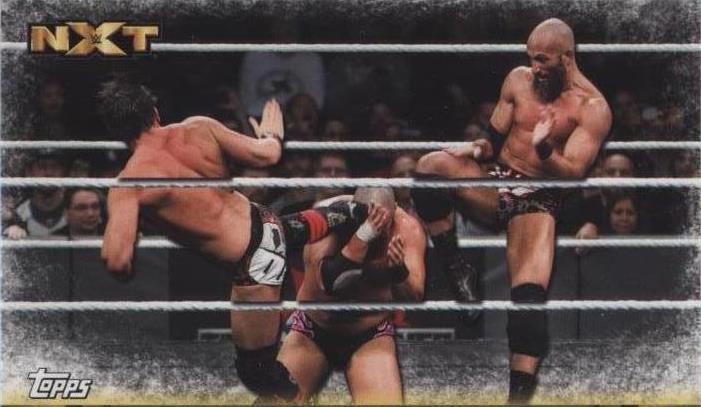 2017 Topps WWE Then Now Forever - #Diy #F-50