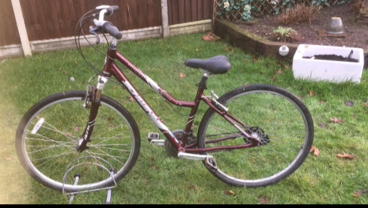 schwinn gs25