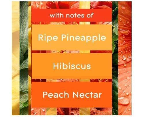 Glade Automatic Spray Air Freshener Refill, Hawaiian Breeze 6.2 Ounces 2 Count