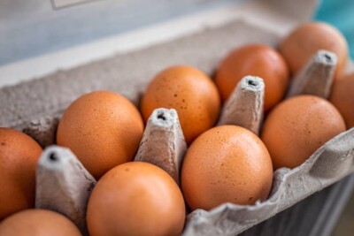 Farm-Fresh, Free-Range, Organic Large Size Eggs (w-bloom)  - 1 Dozen