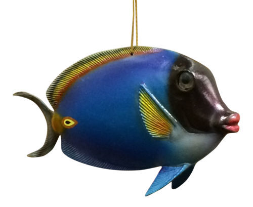 DAIWA - ダイワ　VADEL60MHS Daiwa Vadel J60MHS-Y – JDM TACKLE HEAVEN