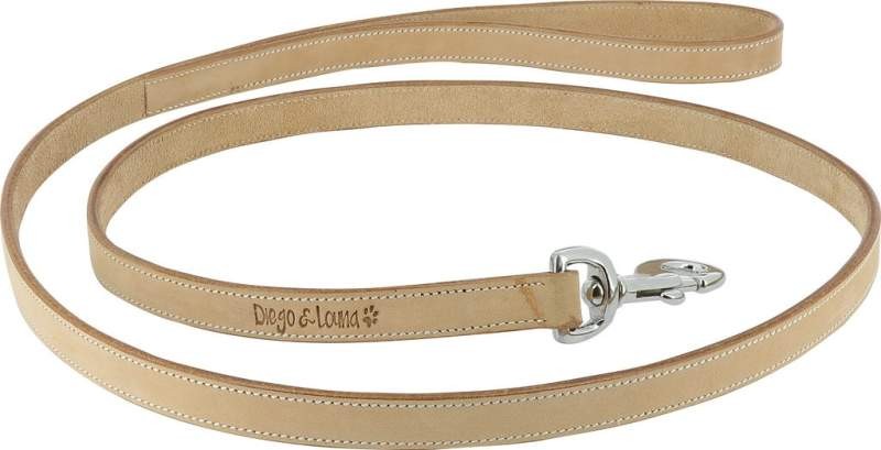 Ekkia Hundeleine 
