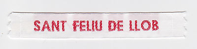 SCOUTS OF SPAIN / ESPANA / SPANISH - MSC SCOUT SANT FELIU DE LLOBREGAT STR PATCH