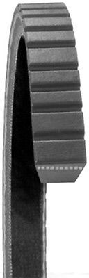 Bell⋈ *。 Belt - SZ910-45354 - CASCADE OVERSEAS GENERAL TRADING LLC