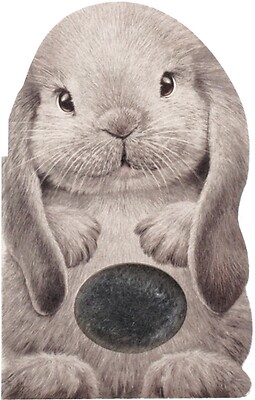 Furry Bunny Annie Auerbach Board Book