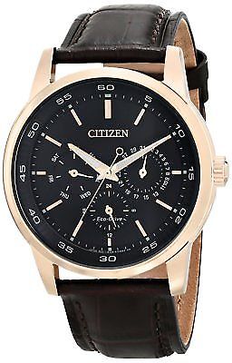 CITIZEN 28800 LEOPARD 26 JEWELRIES | eBay