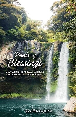 Pools of Blessings Uncovering the Treas Inez Perez Marlar Paperback