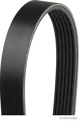 Courroie D Accesoire - Trapezoidale A Nervures Herth+Buss Jakoparts J1061325...