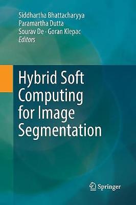 Hybrid Soft Computing for Image Segmentation - 9783319836843
