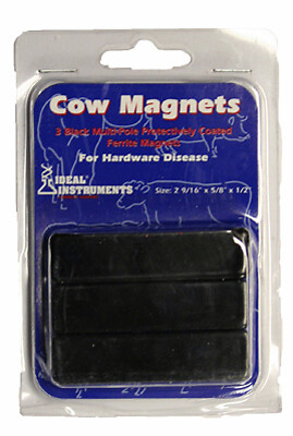 Rumen Magnet, Ceramic, 3-Pk.