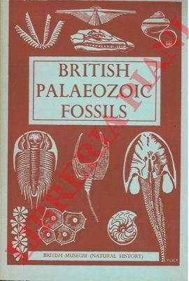 Paleontologia - British palaeozoic fossils.