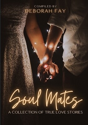 Soul Mates Fay, Deborah Paperback