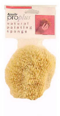 Armaly ProPlus 15216 Medium Texture Painting Sponge - Quantity 1