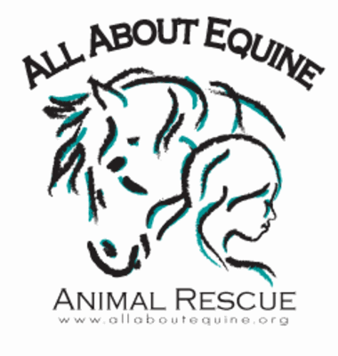 All About Equine Animal Rescue