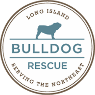Long Island Bulldog Rescue
