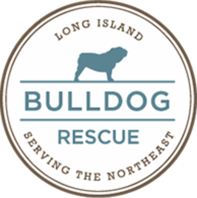Long Island Bulldog Rescue