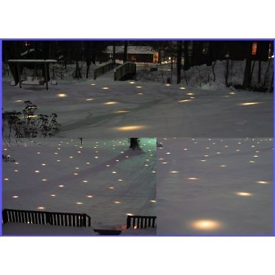 LED Outdoor Lawn Lights Illuminated