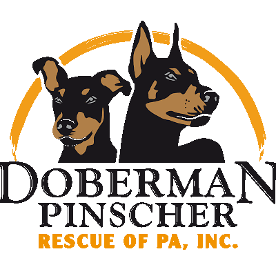 Doberman Pinscher Rescue of PA