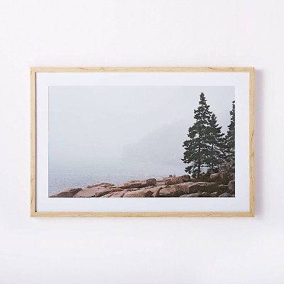 36'' x 24'' Foggy Seaside Framed Wall Art - Threshold designed with Studio McGee
