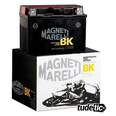MAGNETI MARELLI Onderhoudsvrije motorbatterij YTX12-BS