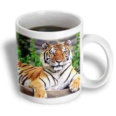 Tiger Mug