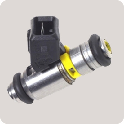 IWP069 HIGH PERFORMANCE GAS FUEL INJECTOR **IT IS CRUCIAL THAT YOU OPEN & READ**