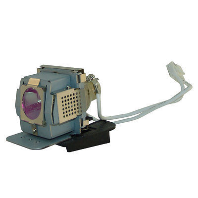 Lamp with Housing Computer Projector Parts for BenQ