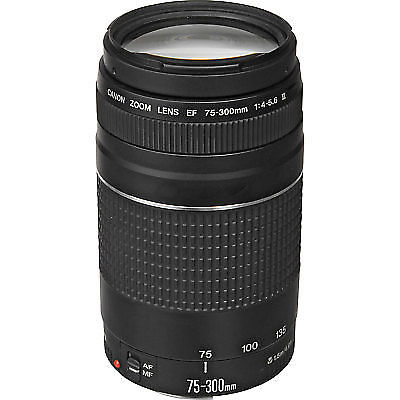 Canon EOS 5D Mark III Camera + 75-300mm and 50mm Lenses (All in