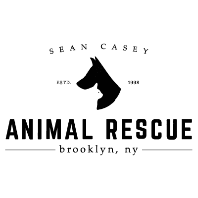 Sean Casey Animal Rescue