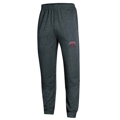 

Мужские серые спортивные штаны NCAA Alabama Crimson Tide, Серый