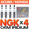 Set > Oem For Honda Rsx Civic S2000 Vtec K20