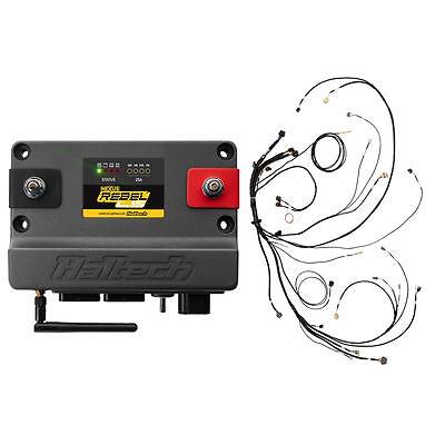 Haltech HT-220201, Kit Nexus Rebel Ls Kit W/Cable Throttle Ev1 Inj Performance